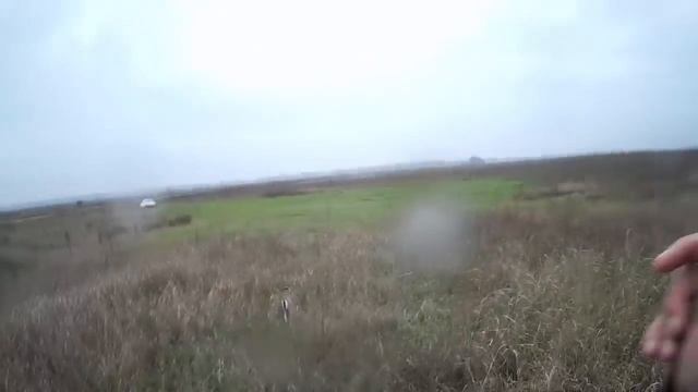 Выносы при стрельбе по зайцу (упреждения) Куда целится при стрельбе по зайцу смотреть онлайн