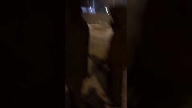 Напролом в детский сад смотреть онлайн