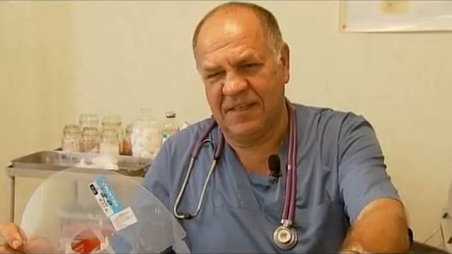 Что делать, если ваш питомец подрался и получил травмы смотреть онлайн