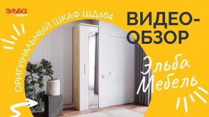 Распашной шкаф с оригинальной конструкцией ШД604. Стильный лаконичный шкаф 60 см от Эльба Мебель!
