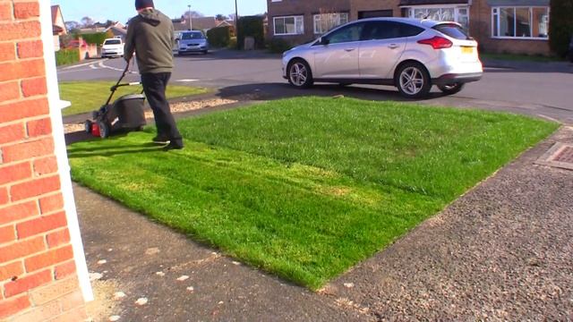 Mountfield S481 PD Petrol Lawnmower Review And Test Cut смотреть онлайн