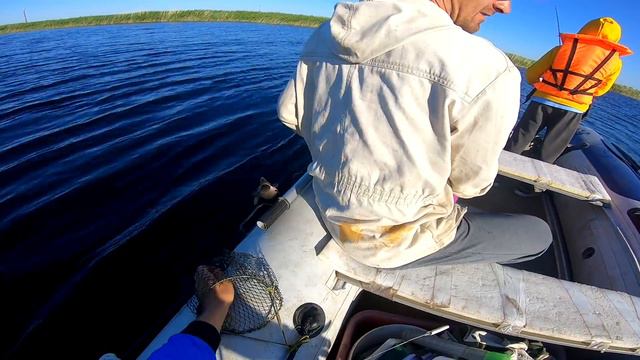 Рыбалка на спиннинг 2020 .Крупная щука тут есть но как ее поймать? Рыбалка с лодки на щуку 2020 смотреть онлайн