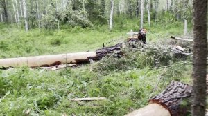 Строим зимовье для отдыха и души.