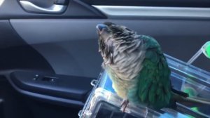 Жизнь С Ари!