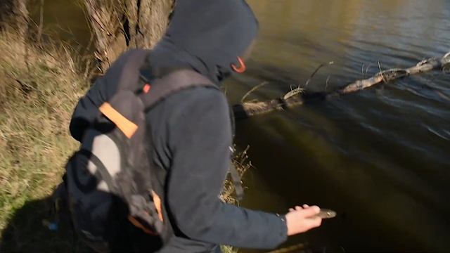 ЛОВЛЯ СУДАКА ВЕСНОЙ НА СПИННИНГ С БЕРЕГА ? Щука и судак в прибрежном коряжнике!