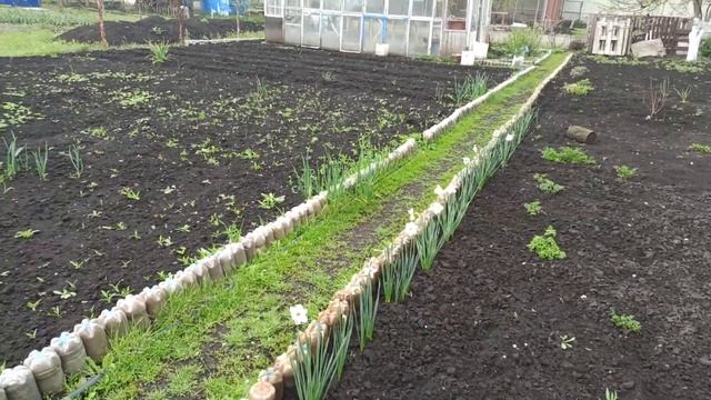 Установка теплицы на дачном участке смотреть онлайн