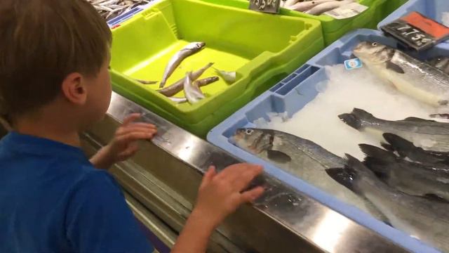 Острые зубы у этой рыбины!.. Меркадона (Лирия, Испания). 30.05.2017, 20:39 смотреть онлайн