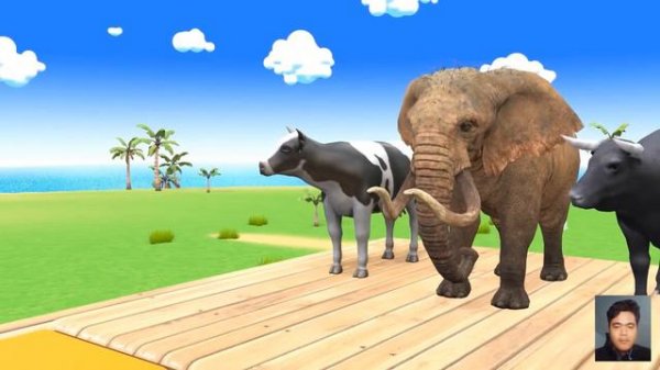 Long Slide Game With Elephant Gorilla Buffalo Hippopotamus Tiger - 3d Animal Game - Funny 3d Animal