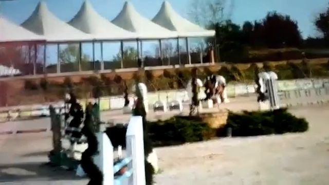 10yr old mare. 1.45m placed. смотреть онлайн