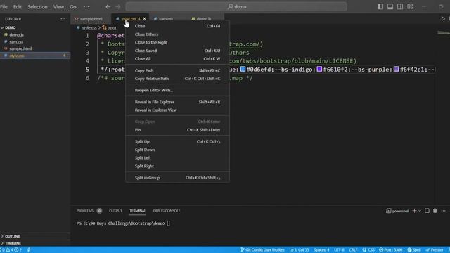 Bootstrap Introduction with container property | Telugu presentation смотреть онлайн