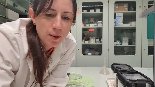 Setting up a choice chamber смотреть онлайн