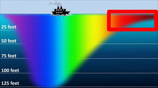 Intro to Light Absorption for Middle School or older students. NGSS: 4-PS3-4, 4-PS4-2, MS-PS4-2 смотреть онлайн