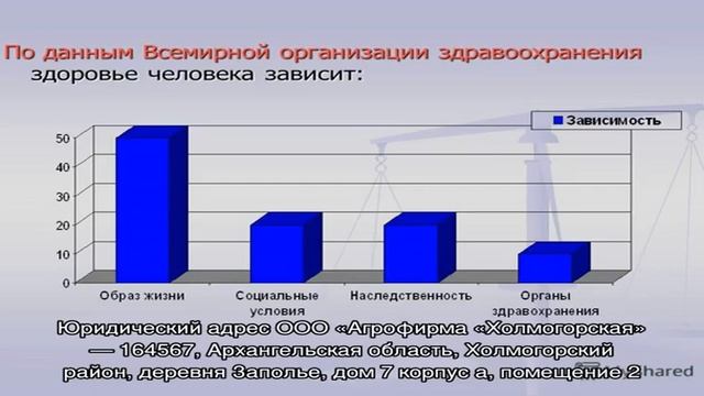 Фсоо «федерация баскетбола краснодарского края» смотреть онлайн