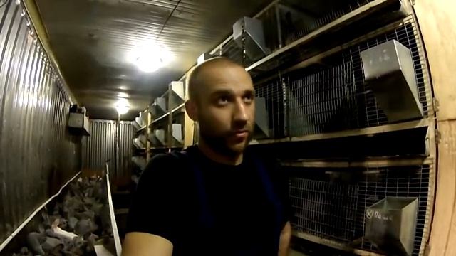 Как избавится навсегда от мух смотреть онлайн