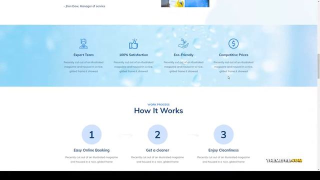 Dustar Cleaning Services WordPress Theme cleaner house cleaning Website Builder смотреть онлайн