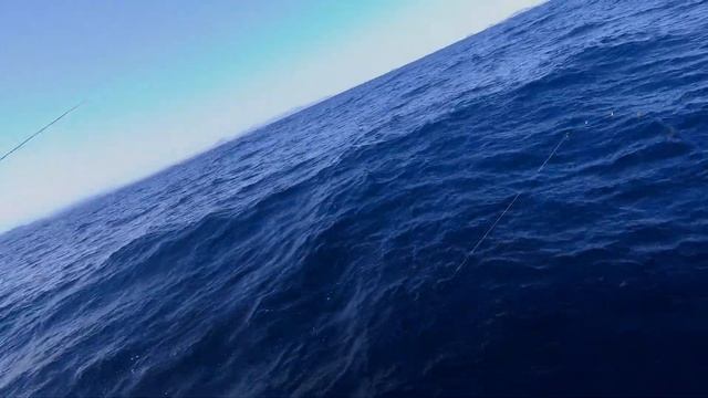 Ловля Синего Тунца Владивосток. Bluefin tuna popping Vladivostok смотреть онлайн