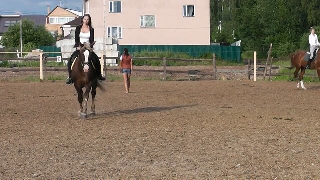 манежный галоп смотреть онлайн