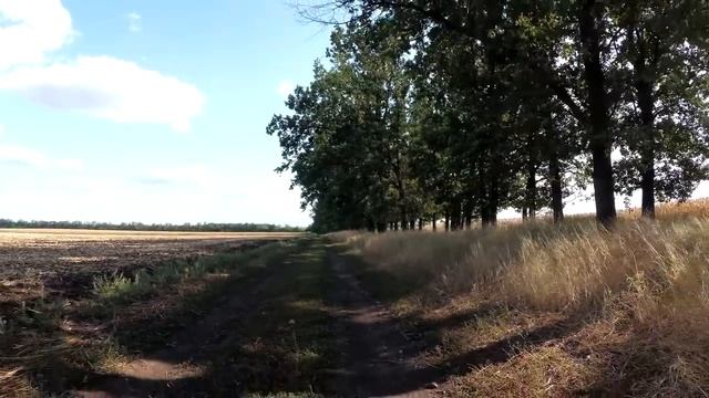 ОН - ваша родственная душа, если у него есть эти 20 качеств. смотреть онлайн