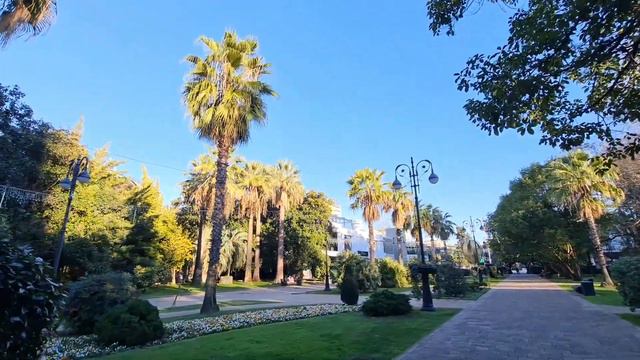 Утренние видеоприветы из Сочи. 21 декабря 2023 года. смотреть онлайн