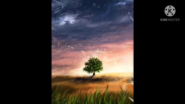 Top 15 wallpaper show смотреть онлайн