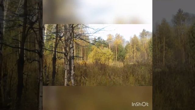 Крадроцикл-багги вездеход смотреть онлайн