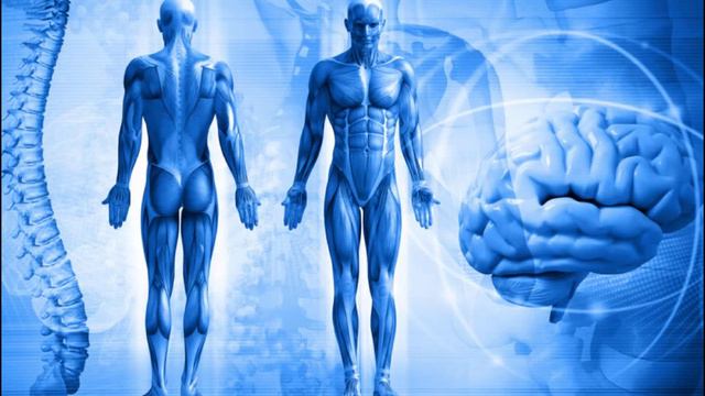 Дистанционное Обучение Исцеление Сигнатурной Клеткой Татьяна Брежнева смотреть онлайн