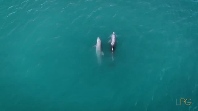 Billionaire Lifestyle In Florida  [Luxury Lifestyle Motivation]