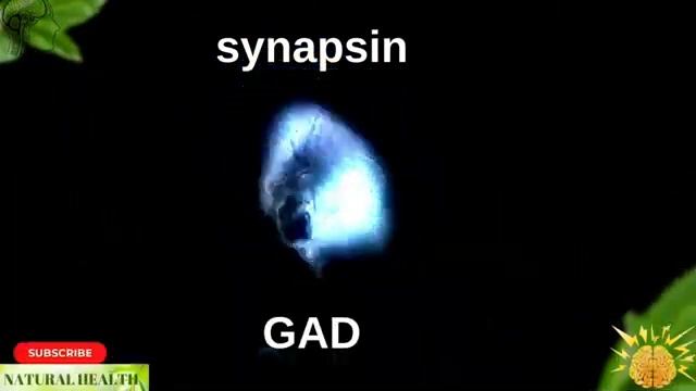 REBOOT Your BRAIN смотреть онлайн