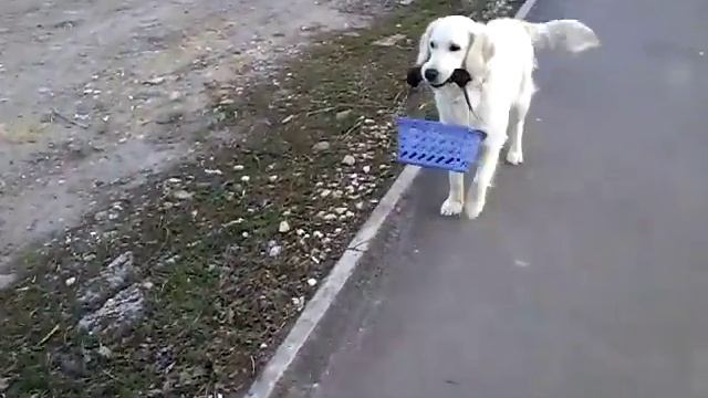 #Крымская #Виола #ХЛЕБА КУПИ смотреть онлайн