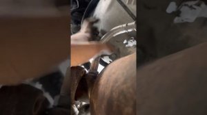 S300/W221/ M272 ENGINE STARTER REPLACEMENT