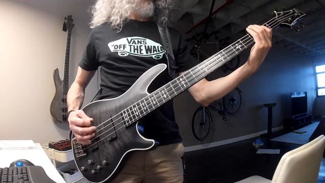 WASP Wild Child Bass Cover