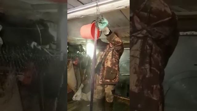 Как разгладить китайские сети смотреть онлайн