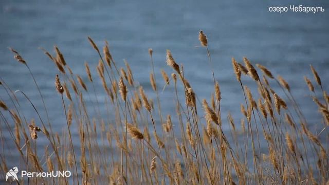озеро Чебаркуль смотреть онлайн