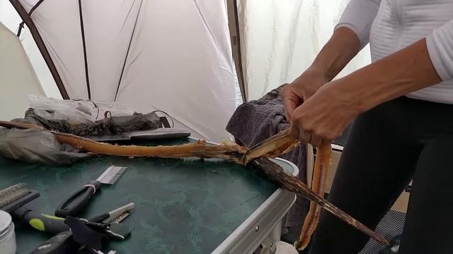Какая на вкус рыба Игла. Обзор в палатке у моря смотреть онлайн
