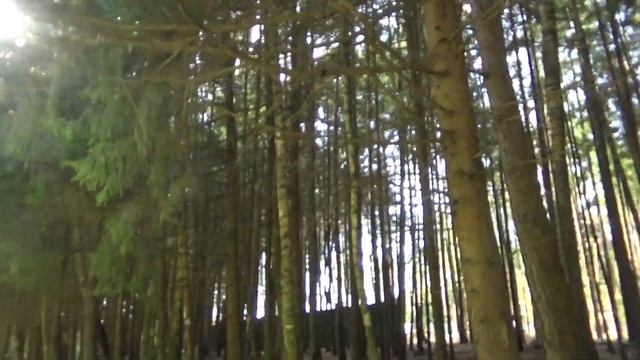 Что есть рядом? смотреть онлайн