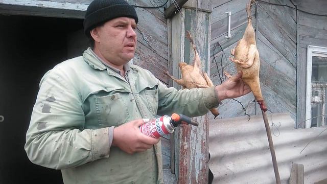 Мускусная утка в 5 месяцев! итог выращивания!!! смотреть онлайн