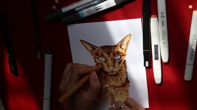 Как нарисовать кота маркерами / yjw to draw a cat with markers || itsmesokolovakate смотреть онлайн