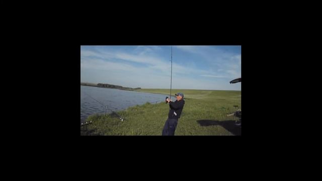 СОВРЕМЕННАЯ ЛОВЛЯ КАРПА. ВОДОЕМ "БЕРЕГОВОЙ" смотреть онлайн