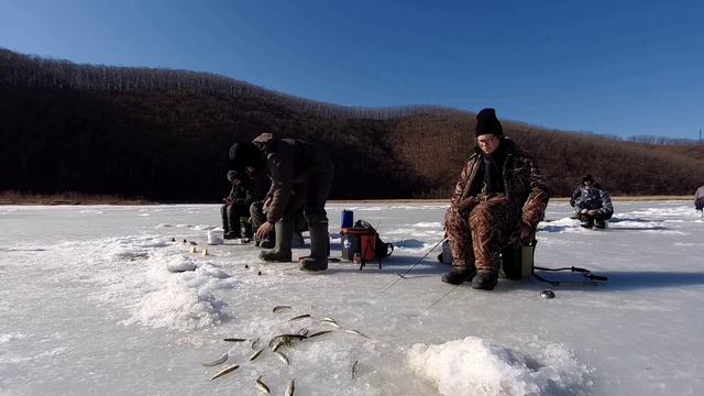 Корюшка прёт! Рыбалка на Душкинской речке. Приморье смотреть онлайн