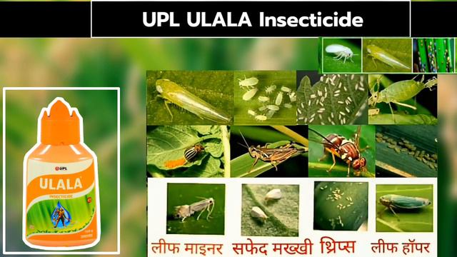 UPL ULALA | Insecticide | सबसे तेज | Flonicamid 50%  Insecticide