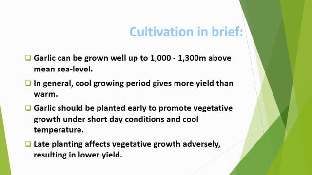 Economic Botany Of Garlic (Allium Sativum)