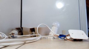 Обогрев Брудера  простая схема. Брудер для цыплят.