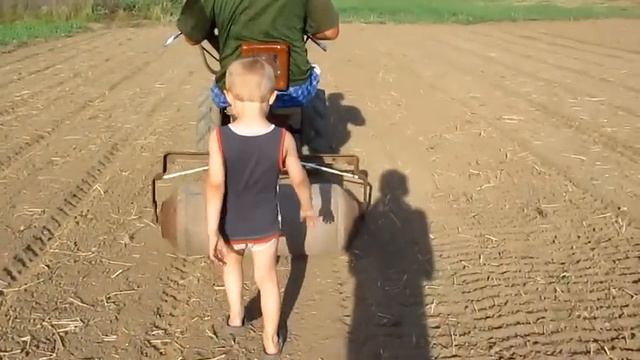 Посев рапса на сидераты для озимого чеснока смотреть онлайн