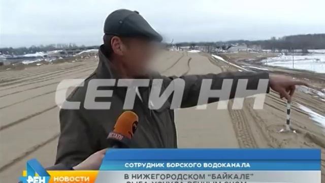 В "нижегородском байкале" вся рыба уснула вечным сном смотреть онлайн