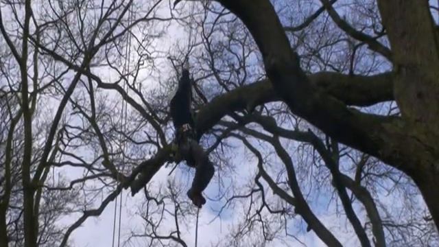 Pius Floris Boomverzorging footlock 2.mpg смотреть онлайн