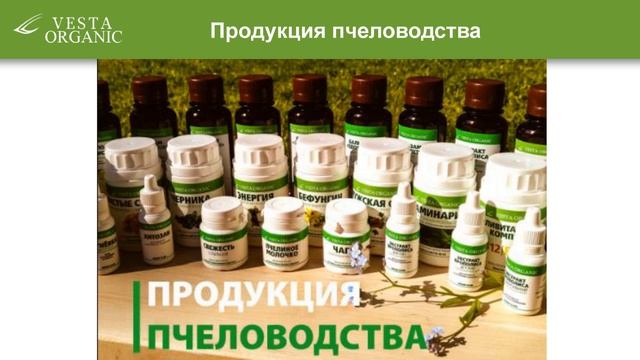 Второй вебинар из курса "Путь к здоровью" компании Vesta Organic от 18 сентября. смотреть онлайн