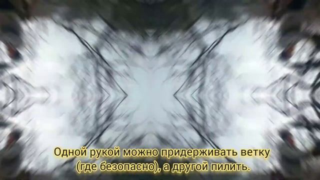 МАЛЕНЬКИЙ ЗВЕРЬ, ИЛИ ДЕНЬГИ НА ВЕТЕР? Бензопила Татра Гарден МС 150. Как ведет себя под нагрузками? смотреть онлайн