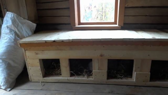 КУРЯТНИК НА ПАСЕКЕ. КАКИХ КУР ЗАВОДИТЬ? МОЖЕТ ЭТИХ! смотреть онлайн