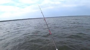 Рыбалка с РИБа Ловля Судака с Лодки на Водохранилище Якорная лебедка Sea-Pro 45