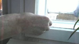 Как покрасить окно и не запачкать стекло.